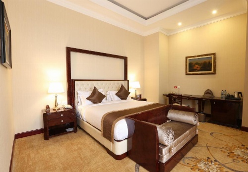 Sapphire Addis Hotel image 34